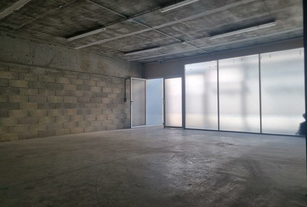 1477-04032026-042732-3