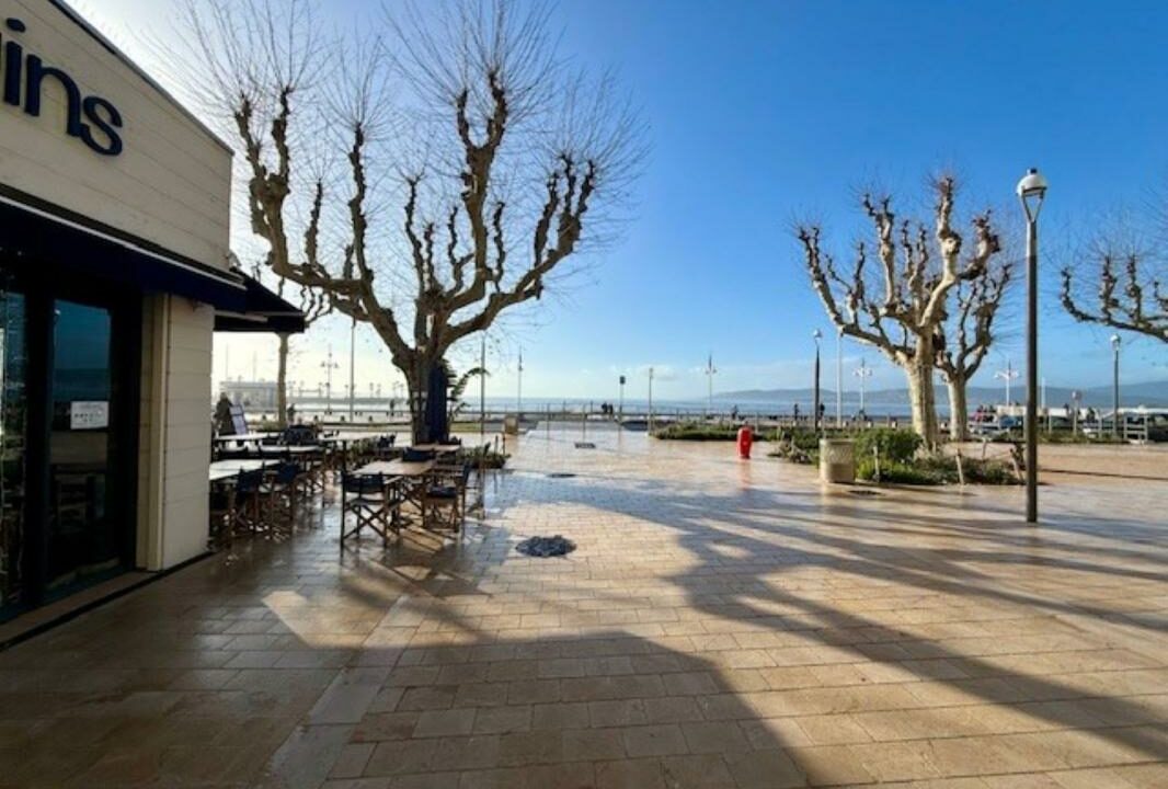 1546-27032026-044549